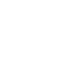 UI/UX Design