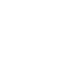 API Integration