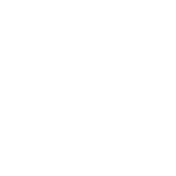 Cloud Migration Expertise
