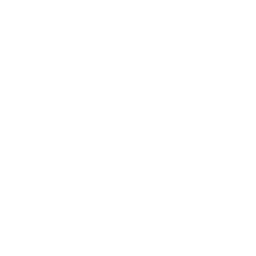 Data Analytics & Reporting