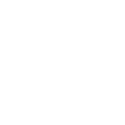 Data Migration & Integration