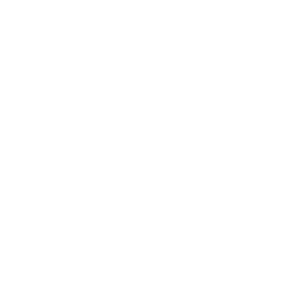 Database