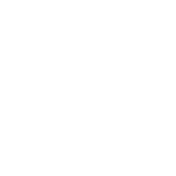 Disaster Recovery Planning