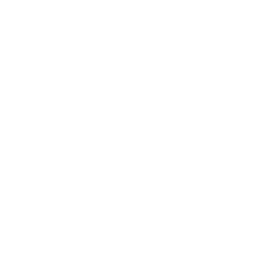 Frontend Expertise