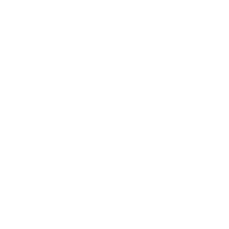 Local Support