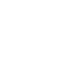 Ongoing Support
