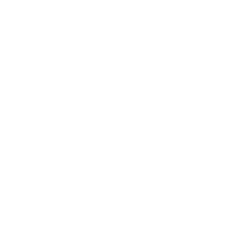 Secure Development