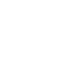 User Training & Change Management