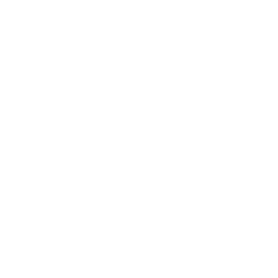 AI Strategy & Consulting