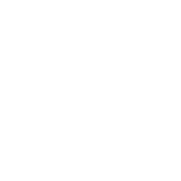 Analytics & Reporting