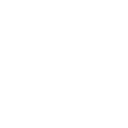 Bug Fixing & Resolution