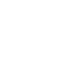 Bug Fixing & Troubleshooting