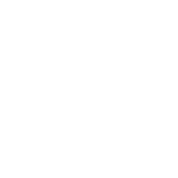 Data Migration & Integration