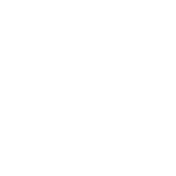 Integration Support & Management