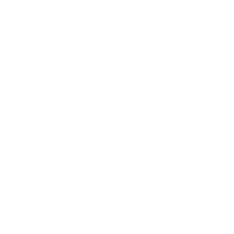Monitoring & Support Services